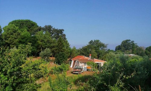 Quinta das Estrelas Cadentes